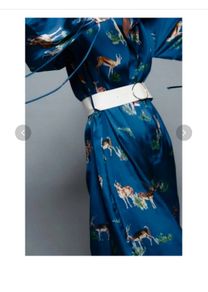 Zara midi dress