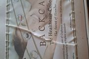 King size Respa Mattress