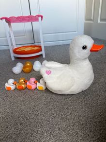 Pets Alive Mama Duck and ducklings