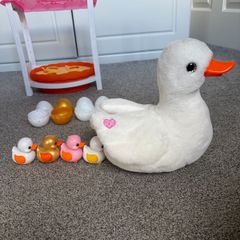 Pets Alive Mama Duck and ducklings