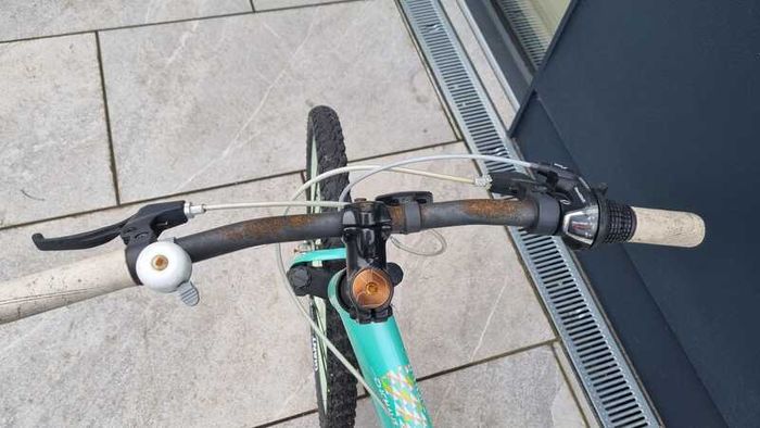 Teenage Girl Liv Enchant Bicycle