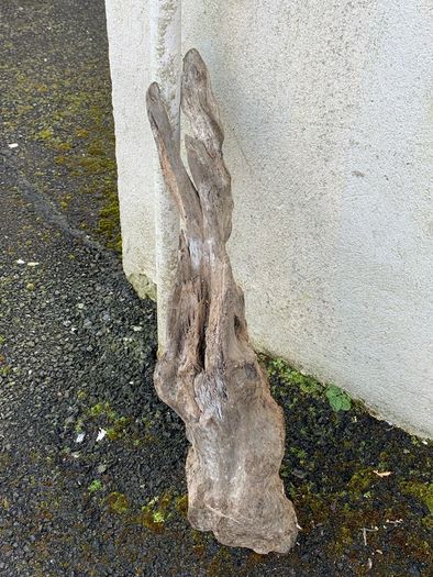 Substantial Collection of Old Bog Oak. Delivery by van can be arranged.