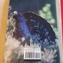 RSPB BIRDS/ Their Hidden World/ Peter Holden Image 2