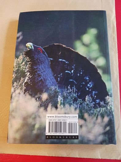 RSPB BIRDS/ Their Hidden World/ Peter Holden