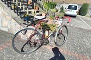 Raleigh bicycle