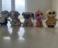 Ty beanie boo bundle (Medium size).
