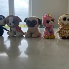 Ty beanie boo bundle (Medium size).