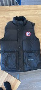Canada goose