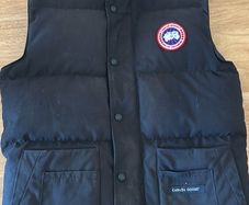 Canada goose