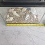 Fish tank Image 2
