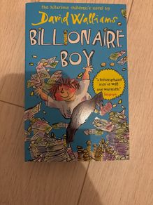 Billionaire Boy by David Walliams