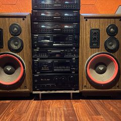 Cerwin Vega AT-12 floor standing speakers
