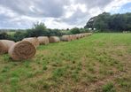 Hay for sale, delivery available locally