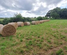 Hay for sale, delivery available locally