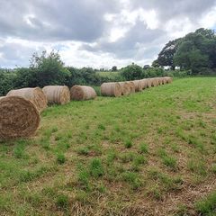 Hay for sale, delivery available locally