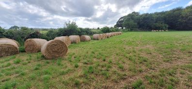 Hay for sale, delivery available locally