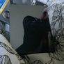 hitman Image 2