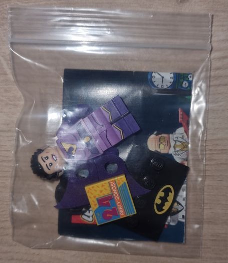 Lego Batman Movie: Wonder Twin Jayna