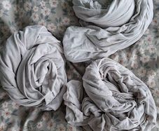 Two Cot sheets & 1 mattress protector sheet