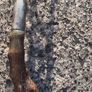 19th Century Horned Ceramonial Trident and Dagger (24 Inches) Image 6
