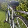 Mens Raleigh Mountain Bike Image 3