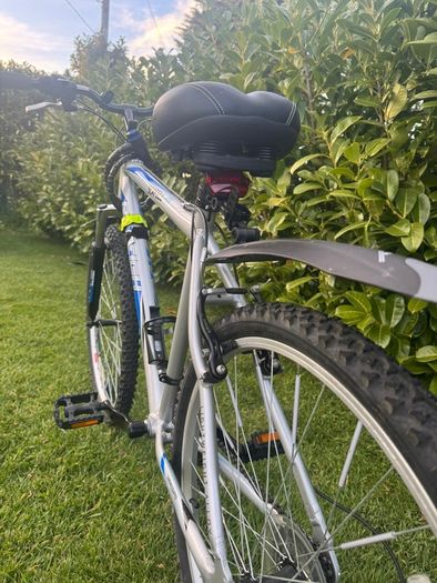Mens Raleigh Mountain Bike