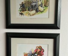 'Cat Nap' & Sheep Driving' by Linda Birkinshaw