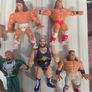 wwf hasbro wrestlers Image 3