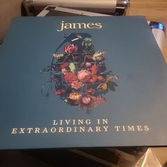 James living in extraordinary times 2 vinyl