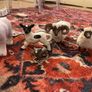 vintage sheep collectables Image 8