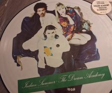 The Dream Academy - Indian Summer - 12" picture disc - 1987