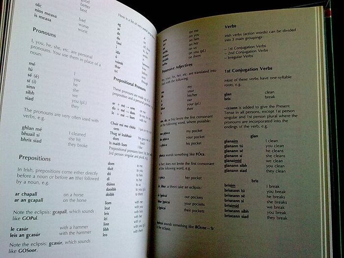 Beginner's Irish Dictionary Gaeilge Irish language Ireland