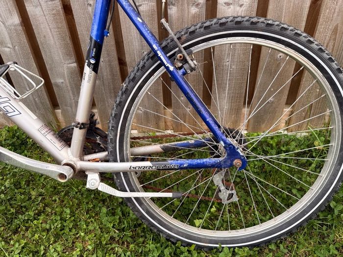 Mountain Bike