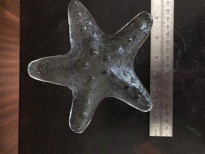 Glass Starfish