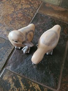 Ducks