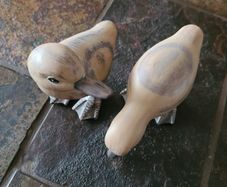 Ducks