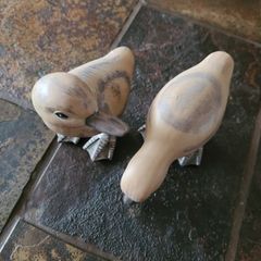 Ducks