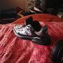 dior b30 anthracite grey genuine Image 5