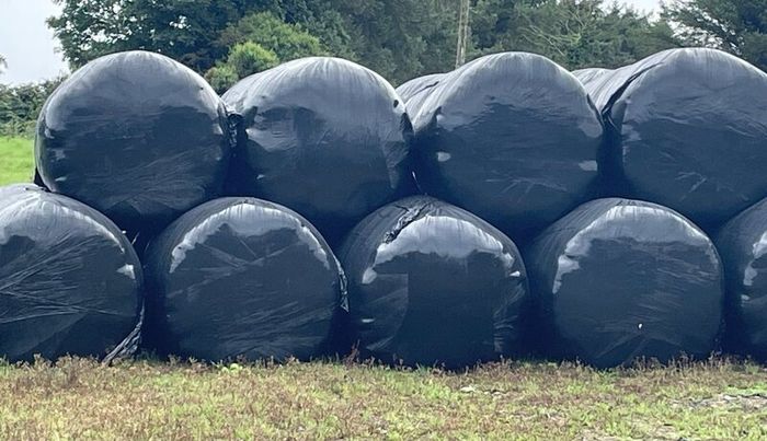 Silage Bales
