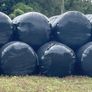 Silage Bales Image 2