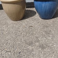 ceramic plant pots