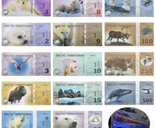 Arctic Territories Banknote 14pcs/set Polar Bear Whale Lynx Animal Commemorative Vouchers Full Set Collection Fantesy
