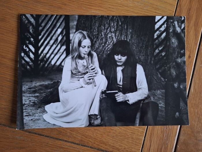 1972 The Pied Piper Press Kit Photos & Pressbook