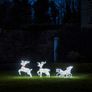 Affordable Two LED Reindeer with Sleigh Image 2