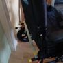 wheelchair Image 3