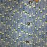blouse Image 4
