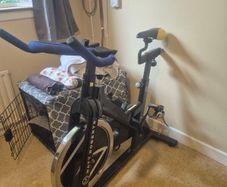 Spin Bike