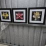 3 framed pictures Image 2
