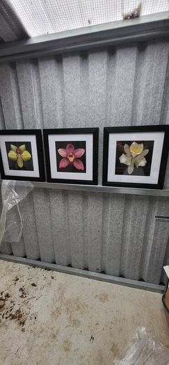 3 framed pictures