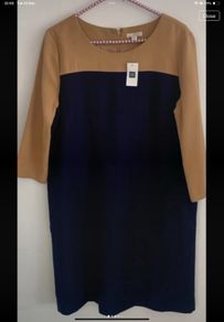 dress Bnwt shift style gap dress size 12 workwear